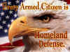 homelanddefensewp004.jpg (157980 bytes)
